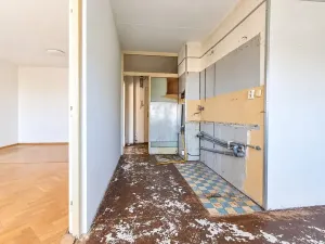 Prodej bytu 1+1, Olomouc, Pionýrská, 45 m2