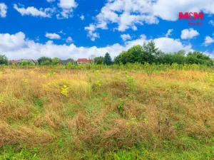 Prodej pozemku pro bydlení, Kolešovice, 3026 m2