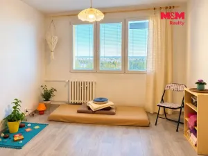 Prodej bytu 2+kk, Plzeň - Severní Předměstí, Sokolovská, 40 m2