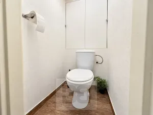 Pronájem bytu 2+1, Brno, Úvoz, 55 m2