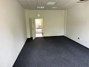 Pronájem kanceláře, Praha - Žižkov, U zásobní zahrady, 26 m2