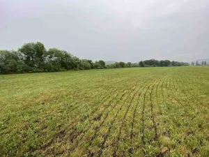 Prodej pole, Rabí - Bojanovice, 22978 m2
