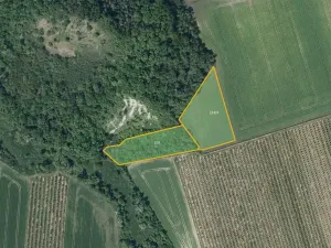 Prodej pole, Želkovice, 112454 m2