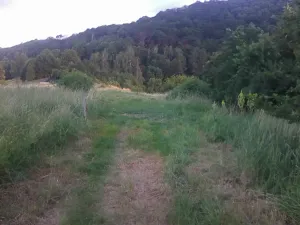 Pronájem louky, Velké Březno, 39851 m2