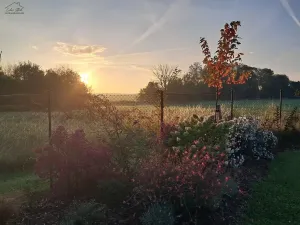 Prodej rodinného domu, Křenice, V Zahradách, 99 m2