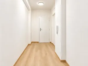 Prodej bytu 2+kk, Brno, 53 m2