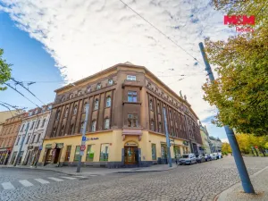 Pronájem bytu 3+kk, Plzeň, Goethova, 123 m2