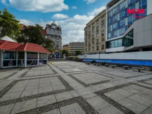 Pronájem bytu 2+1, Plzeň - Jižní Předměstí, Goethova, 90 m2