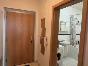 Pronájem bytu 1+kk, Praha - Zličín, Vřesovická, 40 m2