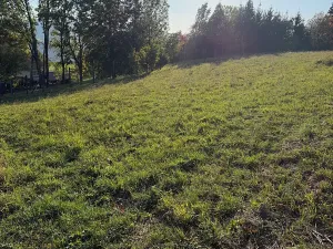 Prodej pozemku pro bydlení, Žítková, 2204 m2