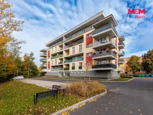 Prodej bytu 2+kk, Nová Role, Svobodova, 39 m2