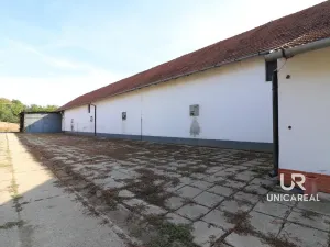 Pronájem skladu, Holubice, 1028 m2