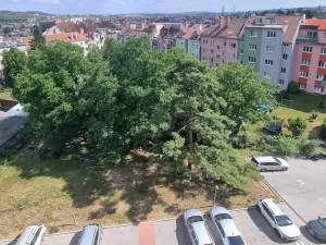 Prodej bytu 3+kk, Brno, Provazníkova, 60 m2