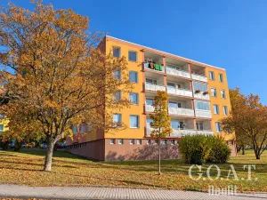 Prodej bytu 1+kk, Klatovy, Suvorovova, 36 m2
