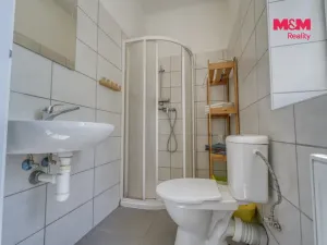 Prodej ubytování, Pňovany, 450 m2
