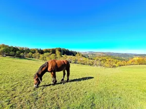 Prodej chalupy, Prlov, 180 m2