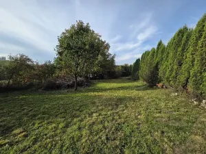 Prodej zahrady, Lešná, 942 m2