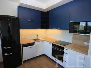 Pronájem bytu 2+kk, Praha - Nusle, Ctiradova, 52 m2
