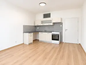 Prodej bytu 2+kk, Brno, 54 m2