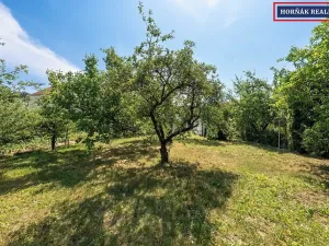 Prodej rodinného domu, Bučovice, Na Padělcích, 175 m2