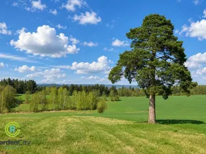 Prodej pozemku pro bydlení, Mirošovice, Pod Jiřím, 805 m2