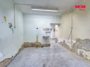 Prodej obchodního prostoru, Plzeň, Božkovská, 77 m2