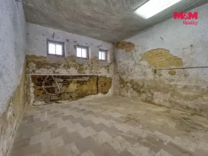 Prodej obchodního prostoru, Plzeň, Božkovská, 77 m2