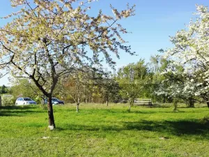 Prodej zahrady, Mělník, 9817 m2