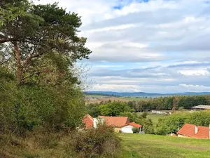 Prodej pozemku pro bydlení, Daleké Dušníky, 5258 m2