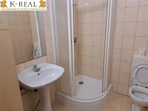 Pronájem bytu 1+kk, Jámy, 25 m2