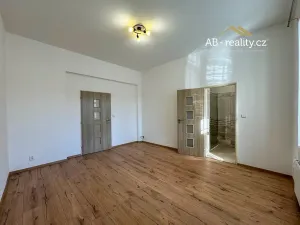 Pronájem bytu 2+1, Teplice, Denisova, 70 m2
