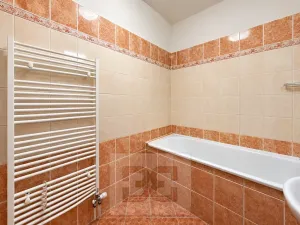 Pronájem bytu 1+kk, Liberec, Ořechová, 42 m2