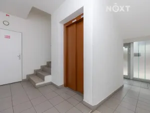 Prodej bytu 2+1, Plzeň, Černická, 65 m2