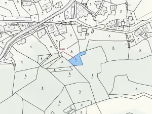 Dražba louky, Zlatá Olešnice, 438 m2