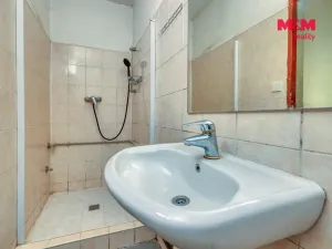 Prodej obchodního prostoru, Bělčice, Nádražní, 560 m2