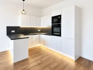Prodej bytu 2+kk, Praha - Nusle, Na výsledku II, 50 m2