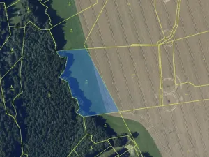 Prodej pole, Spělkov, 25164 m2
