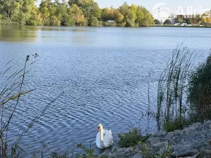 Prodej zahrady, Vojkovice, 910 m2