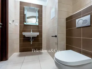 Pronájem bytu 1+kk, Praha - Holešovice, Jankovcova, 38 m2