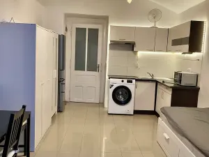 Pronájem bytu 1+kk, Praha - Vršovice, Bulharská, 20 m2
