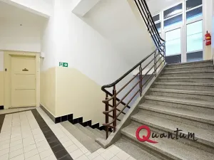 Prodej bytu 2+kk, Praha - Nusle, Na výsledku I, 46 m2