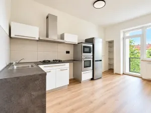 Prodej bytu 1+1, Brno, 48 m2