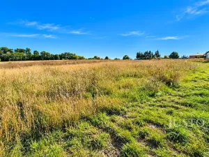 Prodej pozemku pro bydlení, Čížová, 955 m2
