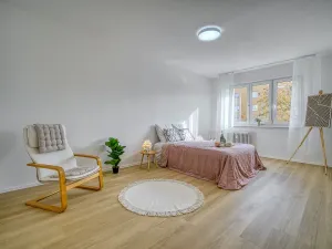 Pronájem bytu 2+1, Most, Zdeňka Fibicha, 55 m2