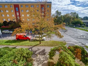 Pronájem bytu 2+1, Most, Zdeňka Fibicha, 55 m2