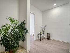 Pronájem bytu 2+1, Most, Zdeňka Fibicha, 55 m2