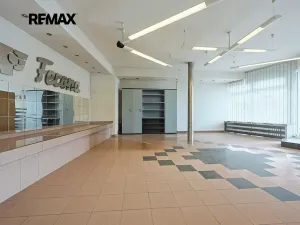 Pronájem obchodního prostoru, Plzeň, Na Roudné, 150 m2