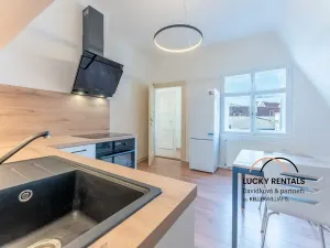 Pronájem bytu 2+1, Praha - Staré Město, Havelská, 65 m2