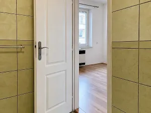 Pronájem bytu 1+1, Ostrava, Korunní, 45 m2