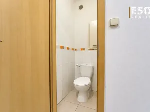 Prodej bytu 2+1, Ostrava, Lumírova, 61 m2